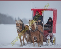 SEMSALES - 0266